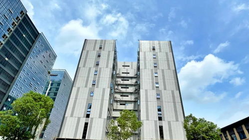 共保科技新里程，力合佛山科技園二期高端產業載體即將啟用